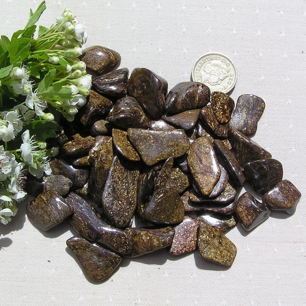 10 Brown Bronzite - Polished Tumblestones, Craft, Mosaic, Grid, Chakra, Favours