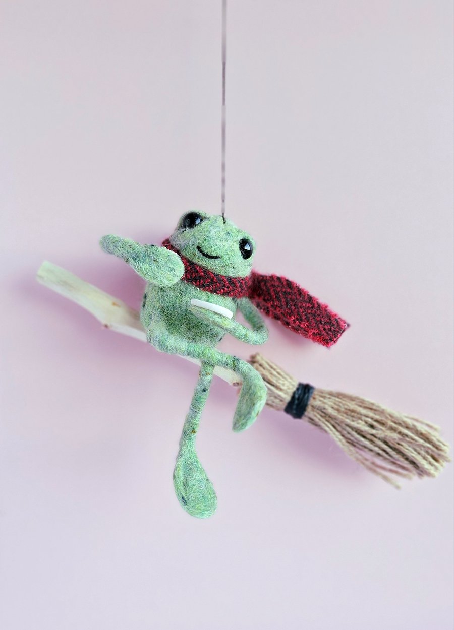 Cheeky Frog Broom