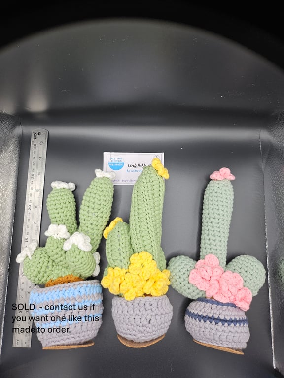 Unkillable plants - Slightly naughty cacti... or not...