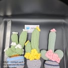 Unkillable plants - Slightly naughty cacti... or not...