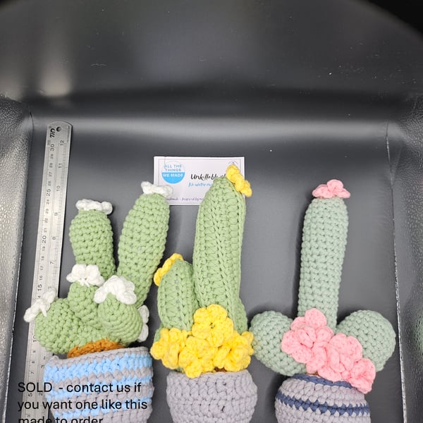 Unkillable plants - Slightly naughty cacti... or not...