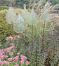 Five Glass Garden Raindrop Sculptures