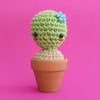 Agnes the Crochet Cactus
