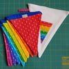 Rainbow Bunting 