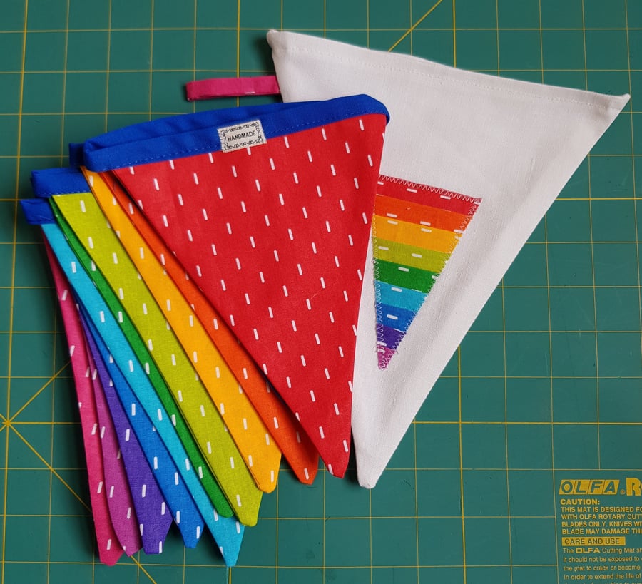 Rainbow Bunting 