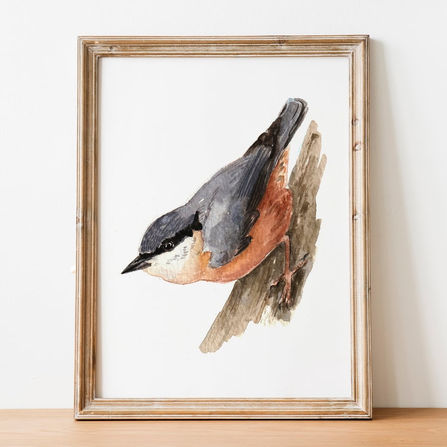 Nuthatch A5 Inkjet Print