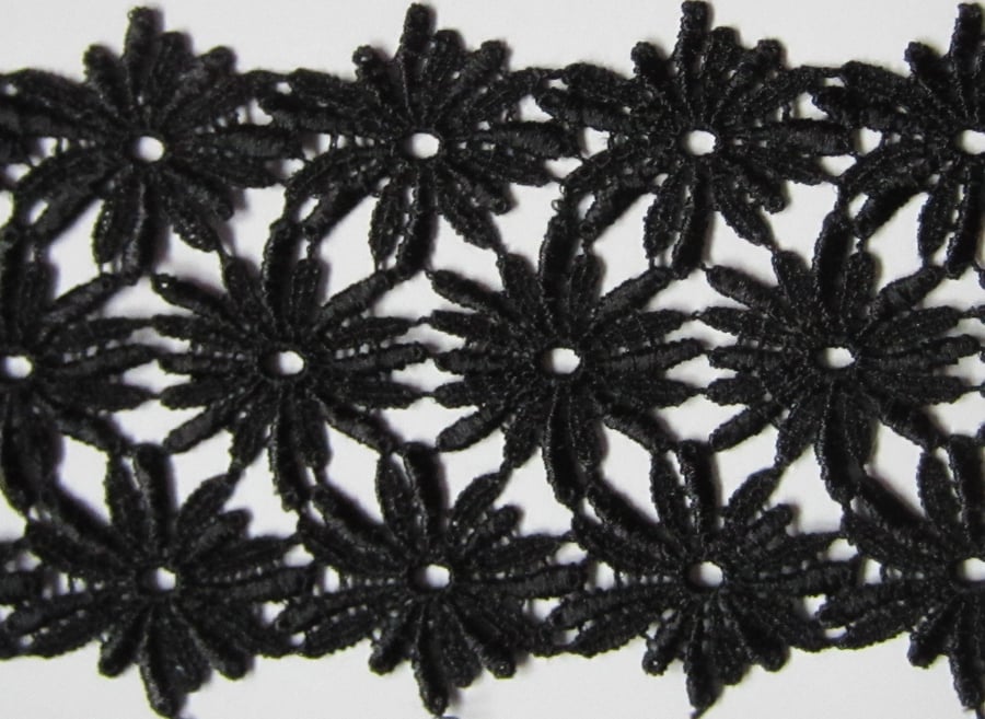 Black Lace Daisies