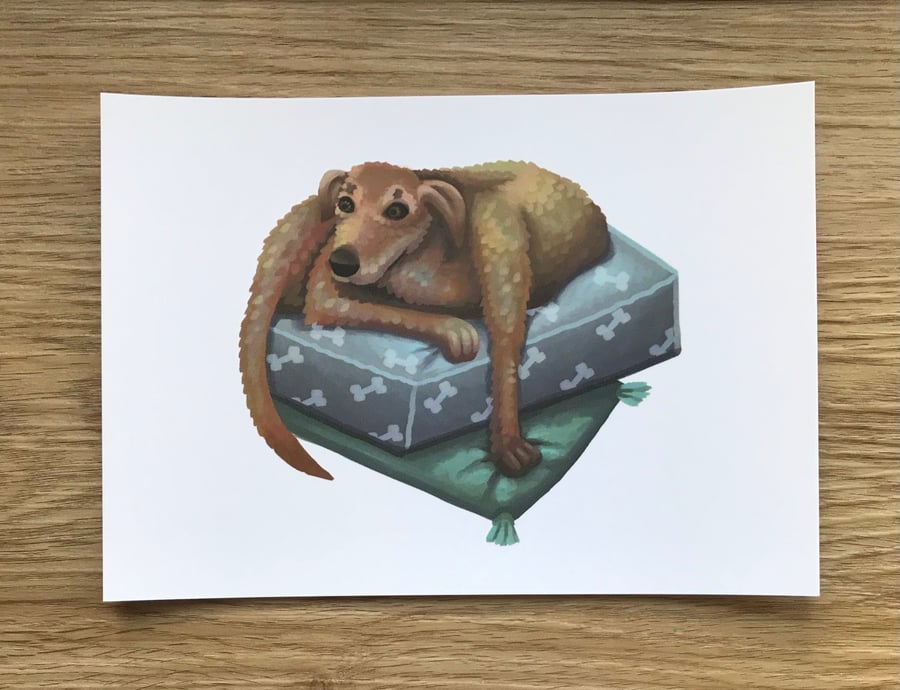 Dog Post Card