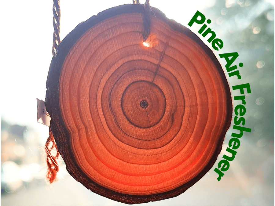 Pine Car Air Freshener. Wooden slice with long-lasting fragrance. Handmade.
