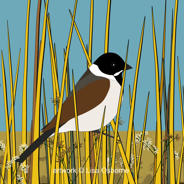 Reed bunting - bird art - bird print 