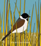 Reed bunting - bird art - bird print  - Image 1