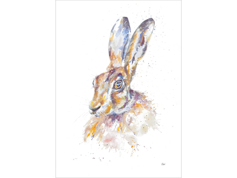 Hare watercolour print, painting, illustration, British, countryside, wildlife