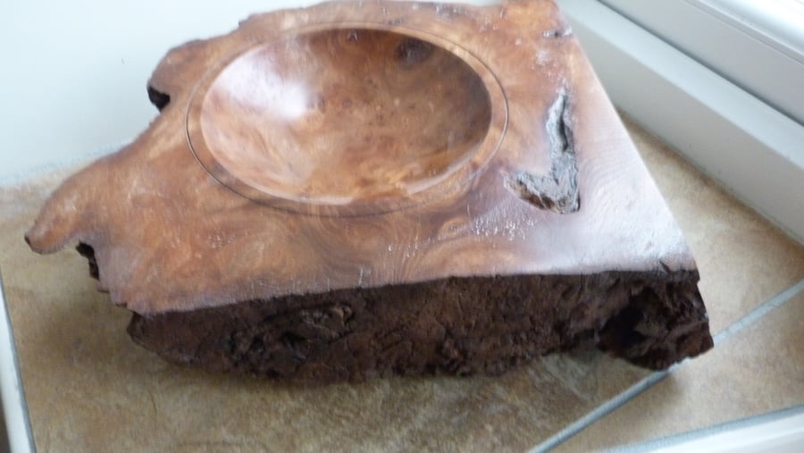 BURR ELM RUSTIC DISH