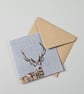 Stag greetings card, blank card, Wildlife - Image 2