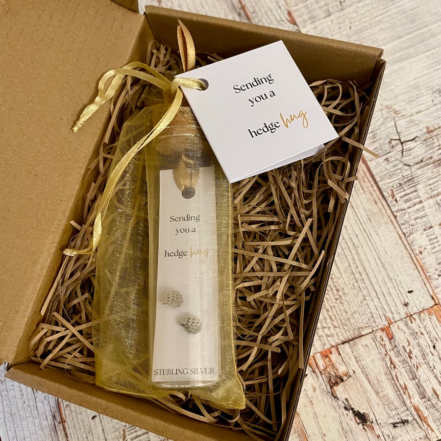 Hedgehog Stud Earrings, Message in a Bottle Sterling Silver Earrings