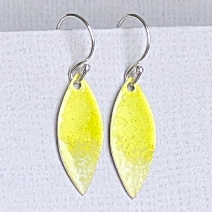 Vibrant and colourful enamel earrings