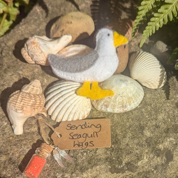 Hug in a box, seagull, support, sending hugs, pocket comfort.