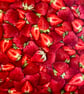 Strawberries Fat Quarter