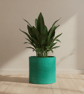  Large Statement 19 cm Persian Green Plant Pot - Turquoise Unique Planter