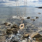 Fresh Water Pearl Pendant Silver Necklace