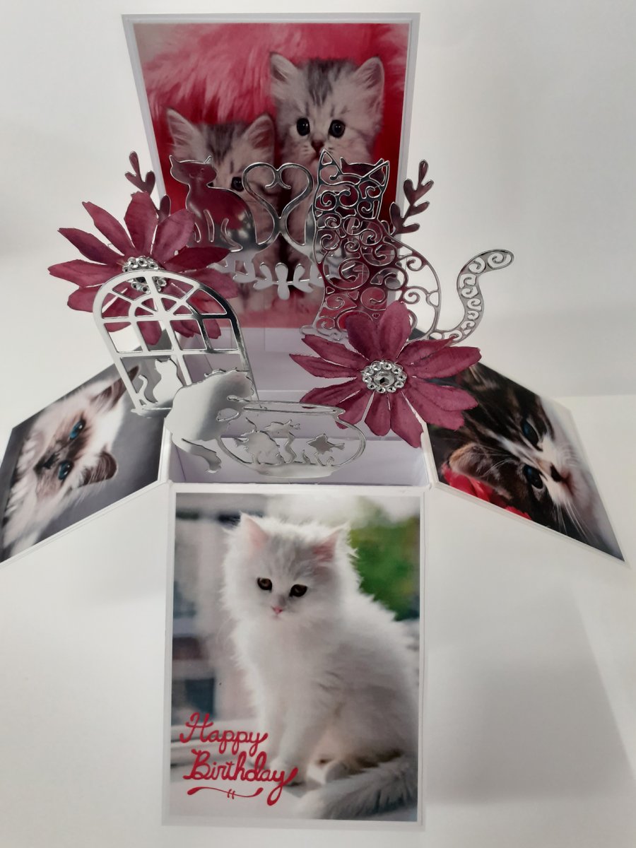 Ladies Birthday Card with Cats