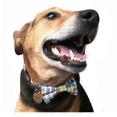 MR MYLO Handmade pet accessories