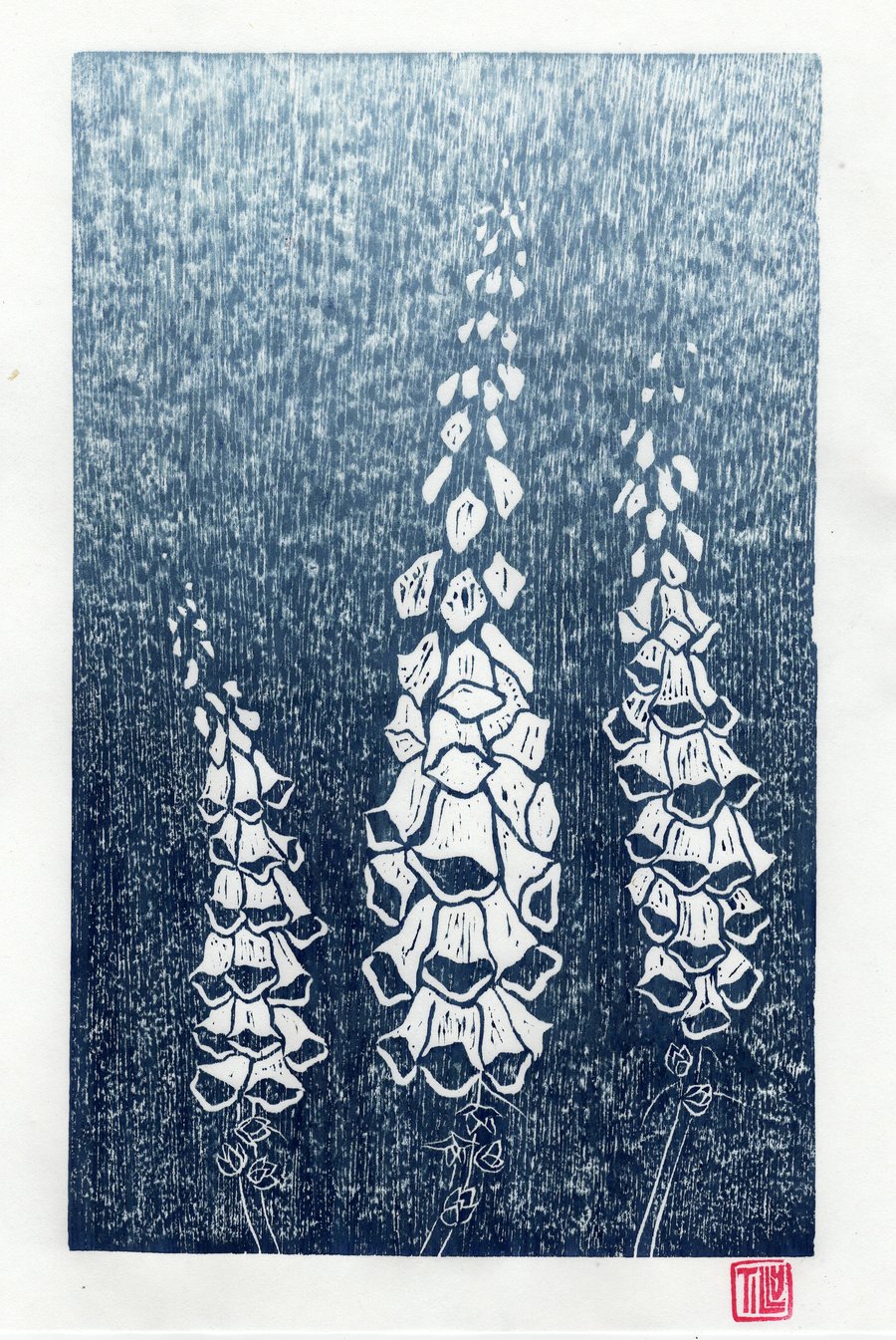 Foxgloves Japanese woodblock print, woodcut,garden, printmaking, blue, art print