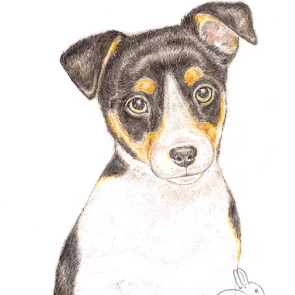 Jack the Jack Russell - Thank You Card