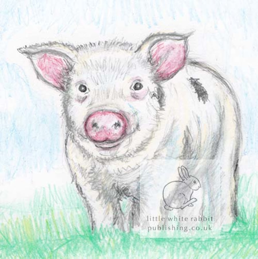 Piggy -  Blank Card