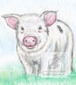 Piggy -  Blank Card - Image 1