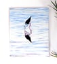 Black-winged Stilt Bird  Oil Painting of African Wildlife - Image 5