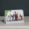 Four Terriers Greeting Card