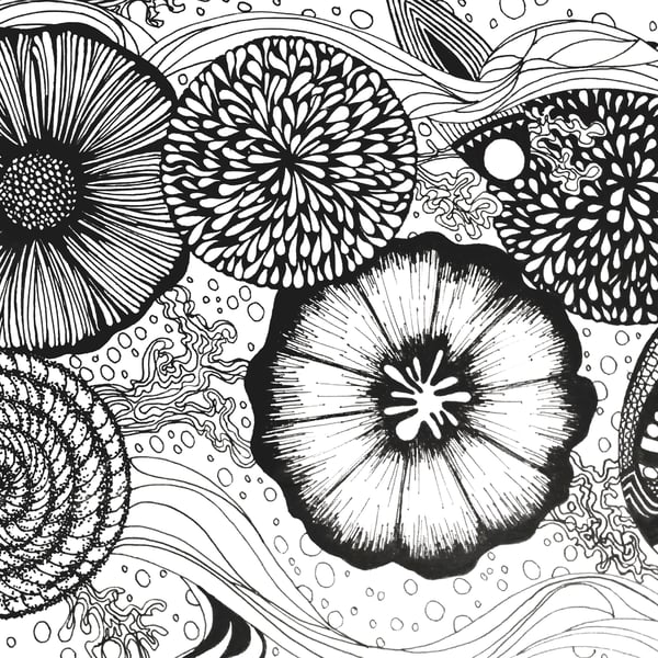 Black and white wall art - Sea Life