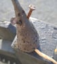 Pottery Mouse  - Image 2