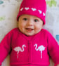 Baby Knitting Pattern for Jacket and matching Hat with Flamingos.  Digital - Image 1