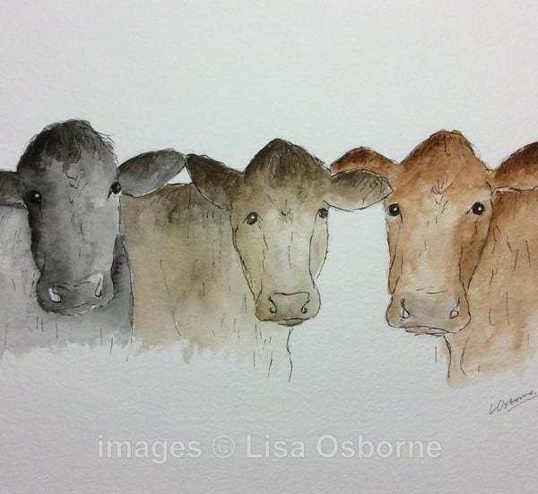 Waiting for dinner - print from watercolour of cows. Farm animals.