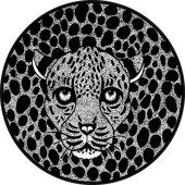 SGodwinStudio
