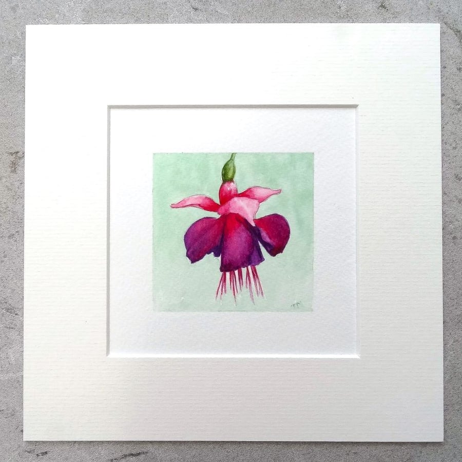 Floral Art Original Art Miniature Watercolour Painting  'Fuchsia'