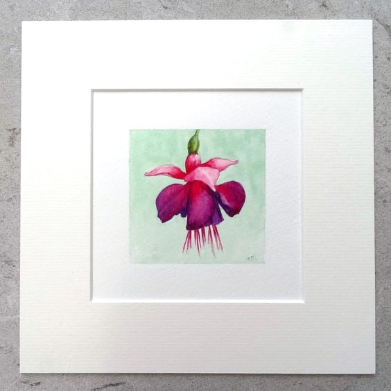 Floral Art Original Art Miniature Watercolour Painting  'Fuchsia'