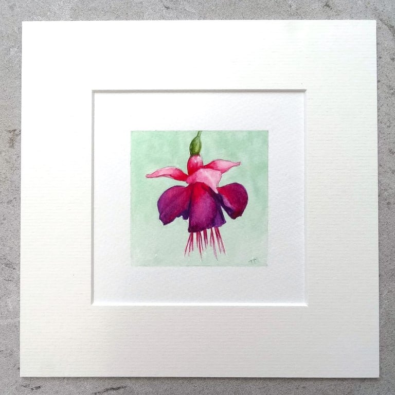 Floral Art Original Art Miniature Watercolour Painting  'Fuchsia'