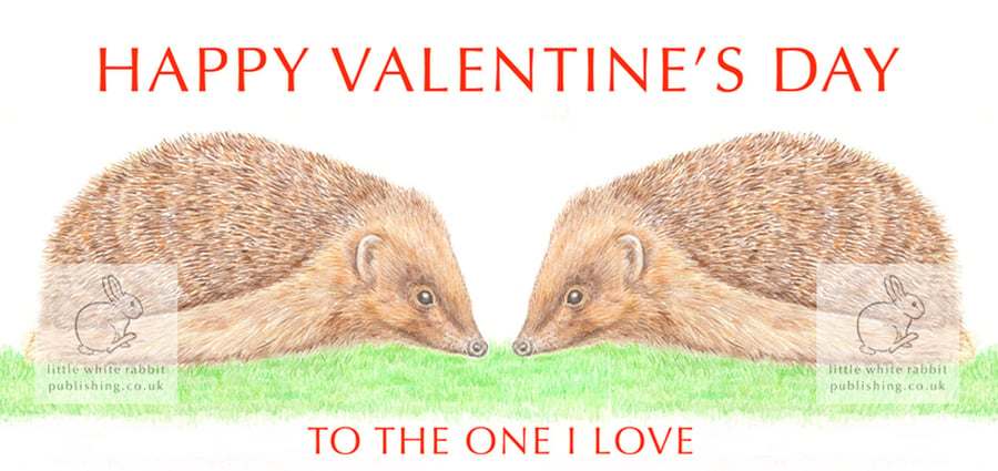 Hedgehogs Nose to Nose - Valentine Card