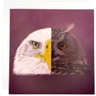 Eagle and Owl Greeting Card – Blank Inside Bird Art Card