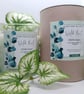 Wild Mint Scented Candle Handmade Vegan Friendly 
