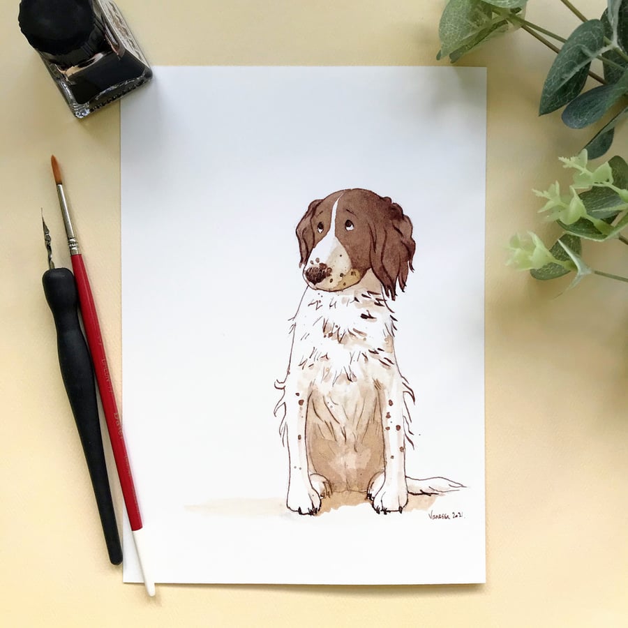 Original and Signed pen and ink drawing of a liver and white Springer Spaniel