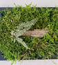 Framed Forest Vignette (2)