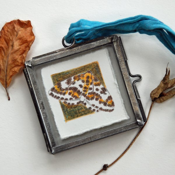 Magpie Moth Original Pencil Drawing