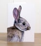 Greetings card - Rabbit - 4 x 5.75 inches (10.5 x 14.8cm) - Image 1