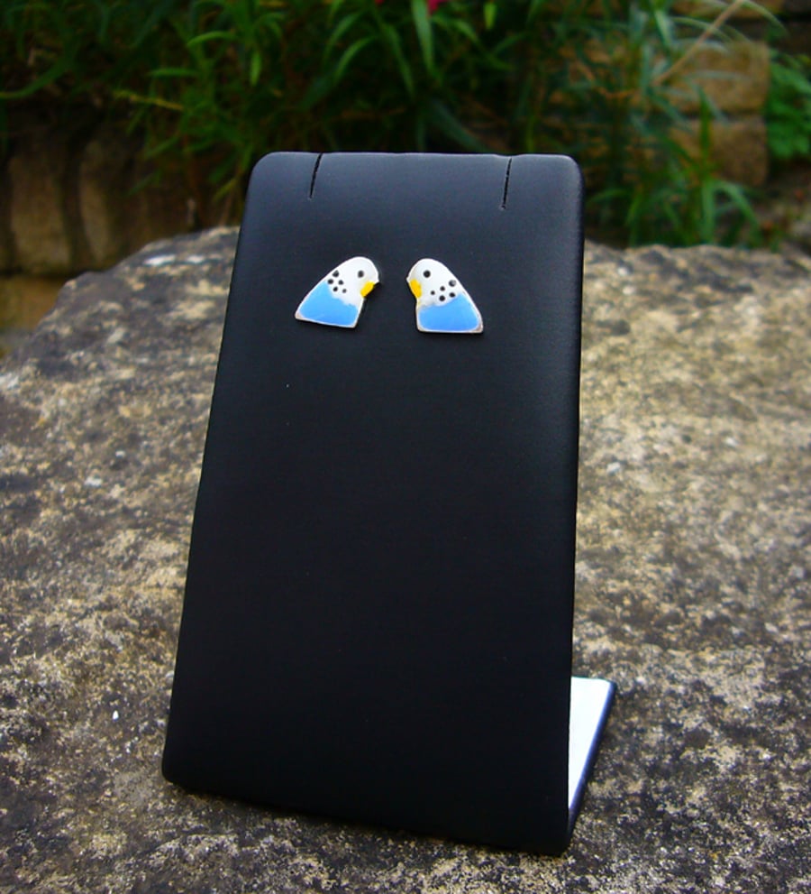 Budgie stud earrings, bird earrings, enamel jewellery, animal gift