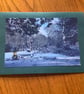 Handmade original photo card Standing Stone in Snow