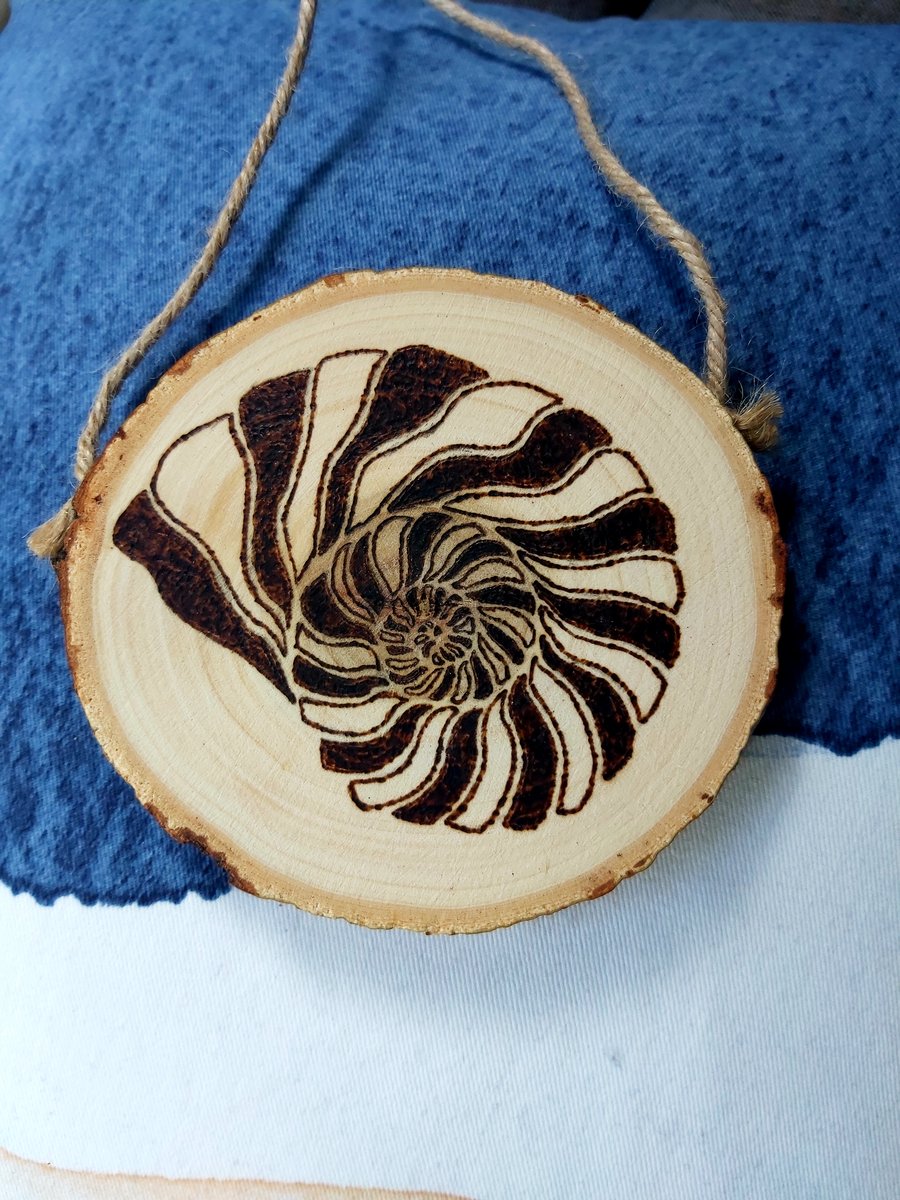 Sprial Sea Shell Pyrography Decoration 